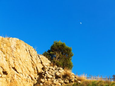 Hilal ay açık mavi gökyüzü, ağaç içinde dağın tepesinde bir