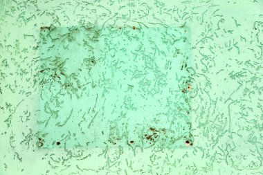 Beton abstract, çatlak ve çizikler ile yıpranmış. landscap