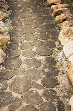 Ormanda, güneşli doğal malzemelerin parça yaz günü masaj. Seçici moda trendy spot yumuşak odak.