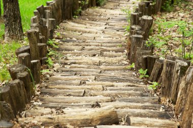 Ormanda, güneşli doğal malzemelerin parça yaz günü masaj. Seçici moda trendy spot yumuşak odak.
