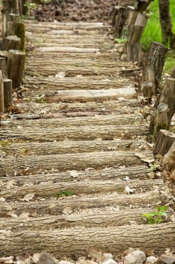 Ormanda, güneşli yaz d doğal malzemelerin masaj izle