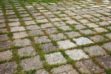 Ben büyüyen çimen ile grungy kilitli beton kaldırım