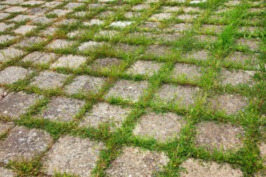 Ben büyüyen çimen ile grungy kilitli beton kaldırım