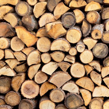 ahşap arka plan kesit. Seçici trendy