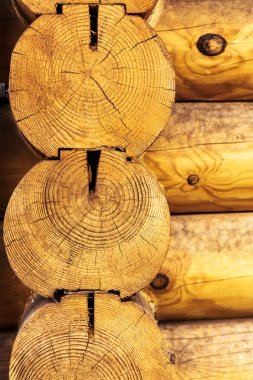 ahşap beton sığınak arka plan. seçici odak. manzara tarzı. büyük arka plan veya doku.