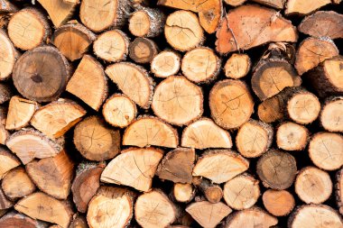 ahşap arka plan kesit. Seçici trendy yumuşak odak.