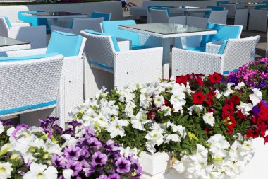 süslenmiş bir rekreasyon alanı sahilde, yaz kentsel elit kafe görünümünde zengin çiçek açan çiçekler. seçici odak ve besteleri, reklam ve metin için bulanıklık bölge uzayda.