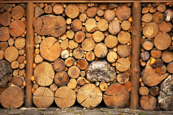 Sección transversal de la madera para el fondo . — Foto de Stock