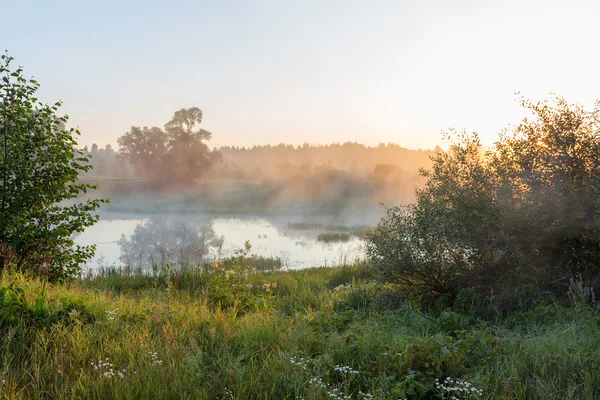 Vackra Landskap Soluppgången Över Floden Dimmig Morgon — Stockfoto
