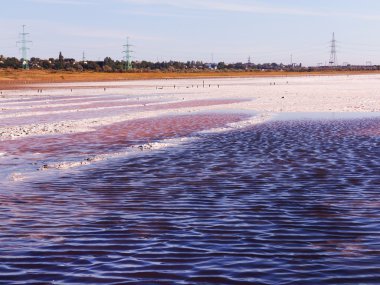 Petrified salt made dry red estuary. Kuyalnik in Odessa, Ukraine