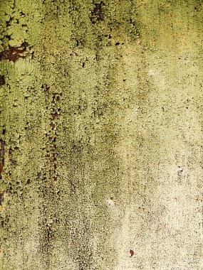 Dokulu arka plan eski bir metal geçit üzerinde yeşil boya kırık. Gr