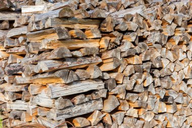 ahşap arka plan kesit. Seçici trendy