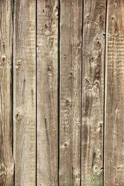 Authentic creative old plywood, perfect background for your conc — Stock Photo, Image