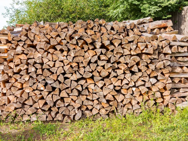 Sección transversal de la madera para el fondo. Moda selectiva — Foto de Stock