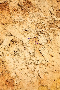 Sorunsuz doku - kil toprak tasarımınız için