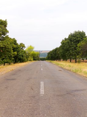 Kırsal Ukrayna eski bozuk asfalt yol. Kırsal manzara.