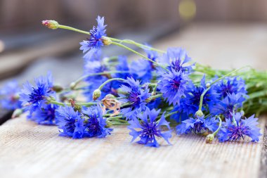 Ahşap zemin üzerine Peygamber Çiçeği. Eko çiçekler. Seçici odak, s