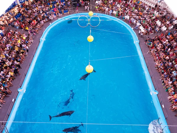 ODESSA, UKRAINE - JULY 12, 2015: Ecstatic happy spectators of al — Stock Photo, Image