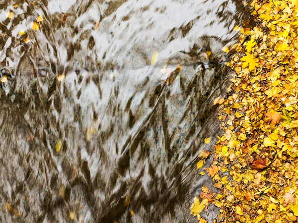 Fallna Gula Löv Flyter Floden Selektiv Fokus Som Bakgrund För — Stockfoto