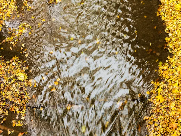 Abgefallene Gelbe Blätter Die Auf Dem Fluss Treiben Selektiver Fokus — Stockfoto