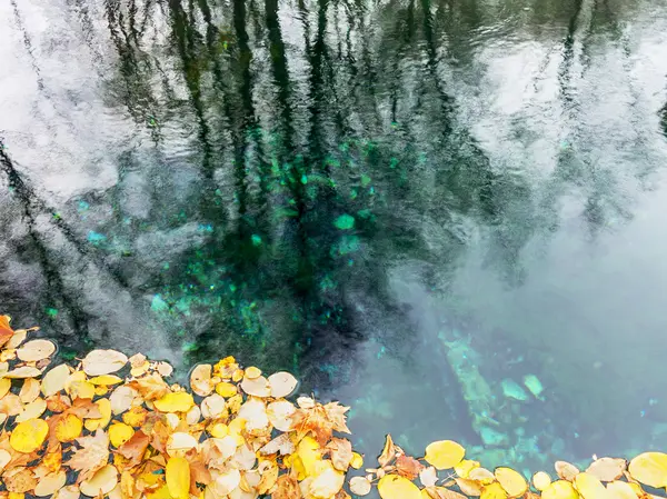 Abstrakta Reflektion Träd Sjön Och Hösten Gul Lämnar Vattnet Selektiv — Stockfoto