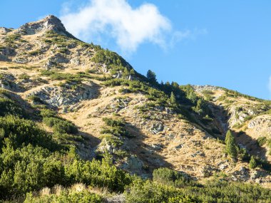 Pyrenees güzel otantik kayalık manzara. Bansko, Bul