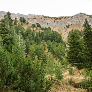 Pyrenees güzel otantik kayalık manzara. Bansko, Bul