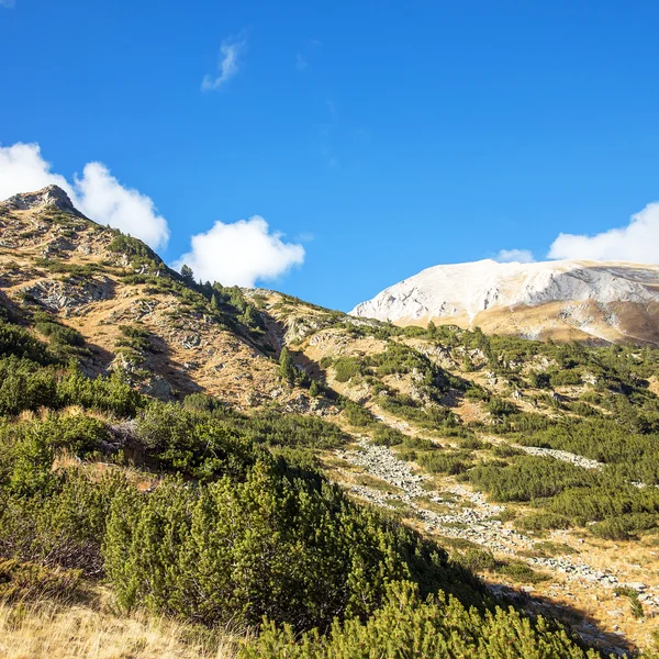 Vakkert, autentisk steinlandskap i Pyreneene. Bansko, Bul – stockfoto
