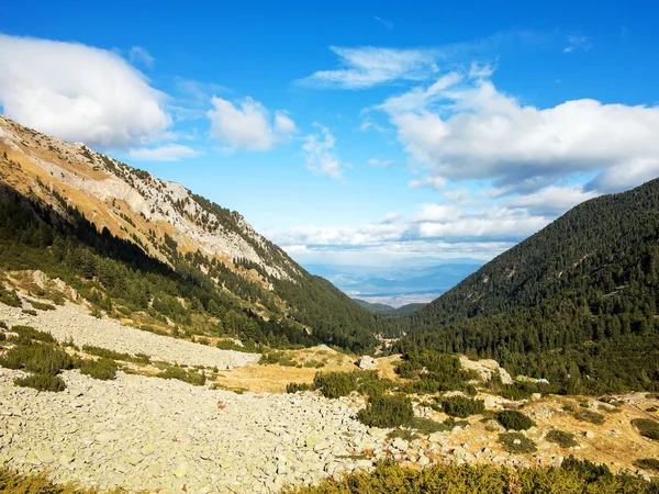 美丽的比利牛斯正宗岩石景观。索非亚保加利亚 — 图库照片