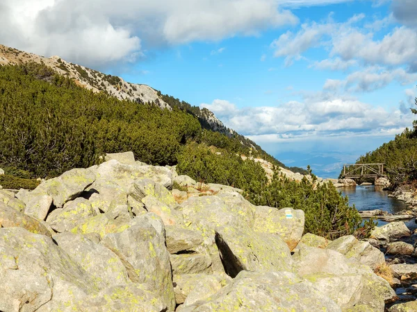 Schöne authentische Landschaft Pyrenäen Gebirgsfluss. bansko, b — Stockfoto