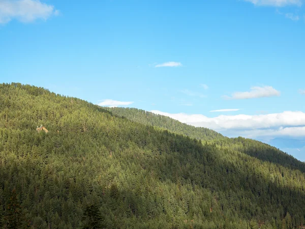 Indah lanskap berbatu otentik Pyrenees. Bansko, Bul — Stok Foto