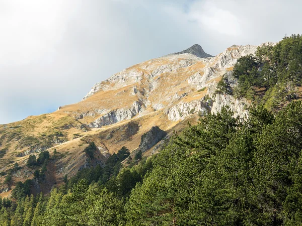 Indah lanskap berbatu otentik Pyrenees. Bansko, Bul — Stok Foto