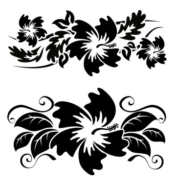 Hawaiian Hibiscus çiçek