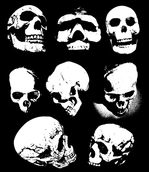 Calaveras — Archivo Imágenes Vectoriales