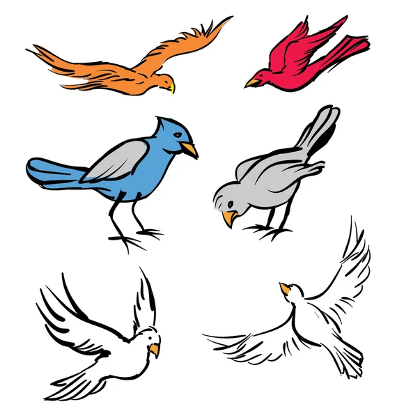 Aves Ilustraciones de stock libres de derechos