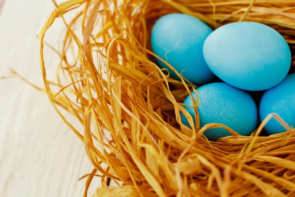 Синій великодні яйця — стокове фото