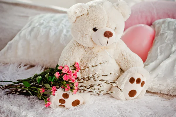 Um belo urso de brinquedo macio — Fotografia de Stock