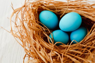 Mavi Paskalya yumurtaları