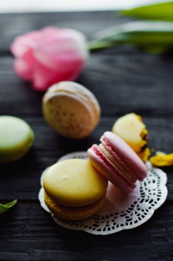 Güzel çiçekler Pembe Laleler