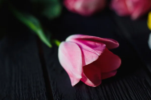 Um belo buquê de tulipas rosa — Fotografia de Stock