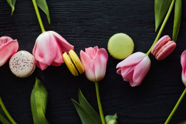 Güzel çiçekler Lale ile renkli macaroons