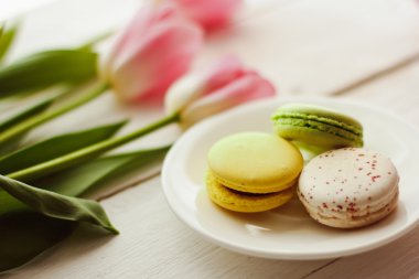 Güzel çiçekler Lale ile renkli macaroons