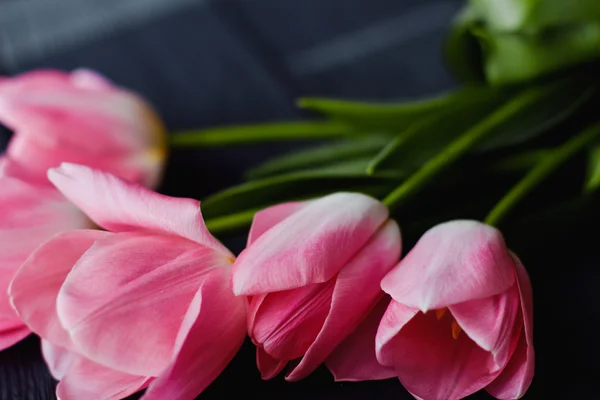 Mooie roze tulpen — Stockfoto