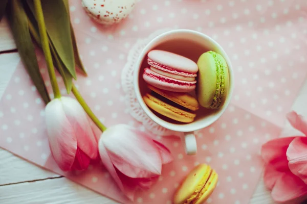 Eine schöne Blume rosa Tulpen — Stockfoto