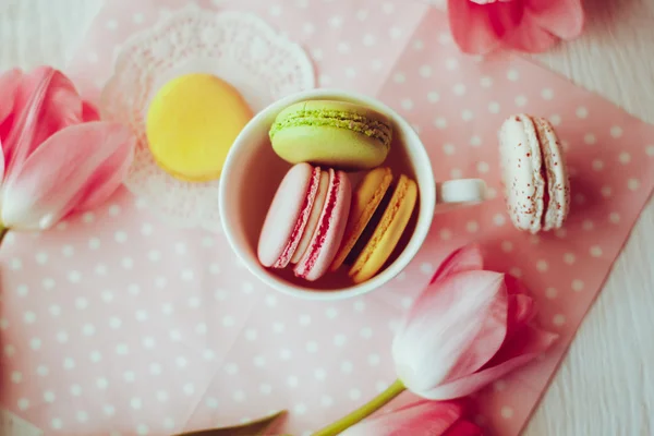 Krásné květiny růžové tulipány — Stock fotografie