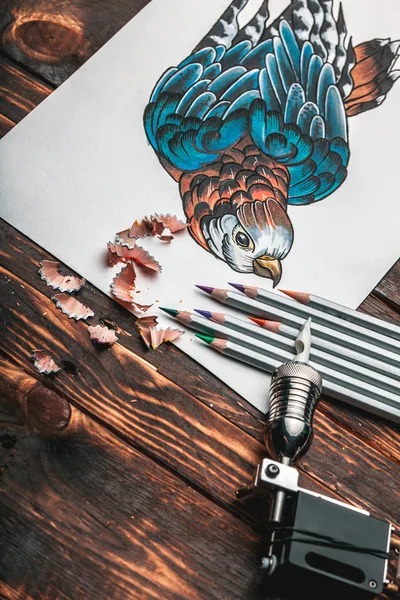 Belo desenho de esboço de um papagaio — Fotografia de Stock