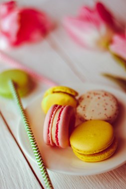 Renkli macaroons ile güzel bir pembe laleler