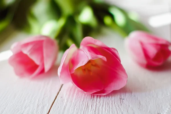 Mooie roze tulpen — Stockfoto