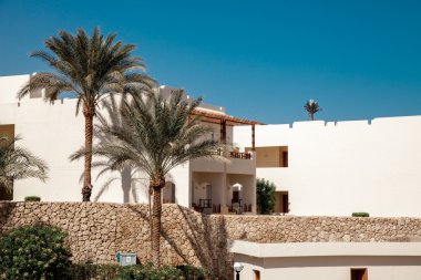 lüks Mısır otel palmiye ağacı ile