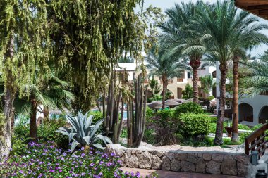 lüks Mısır otel palmiye ağacı ile